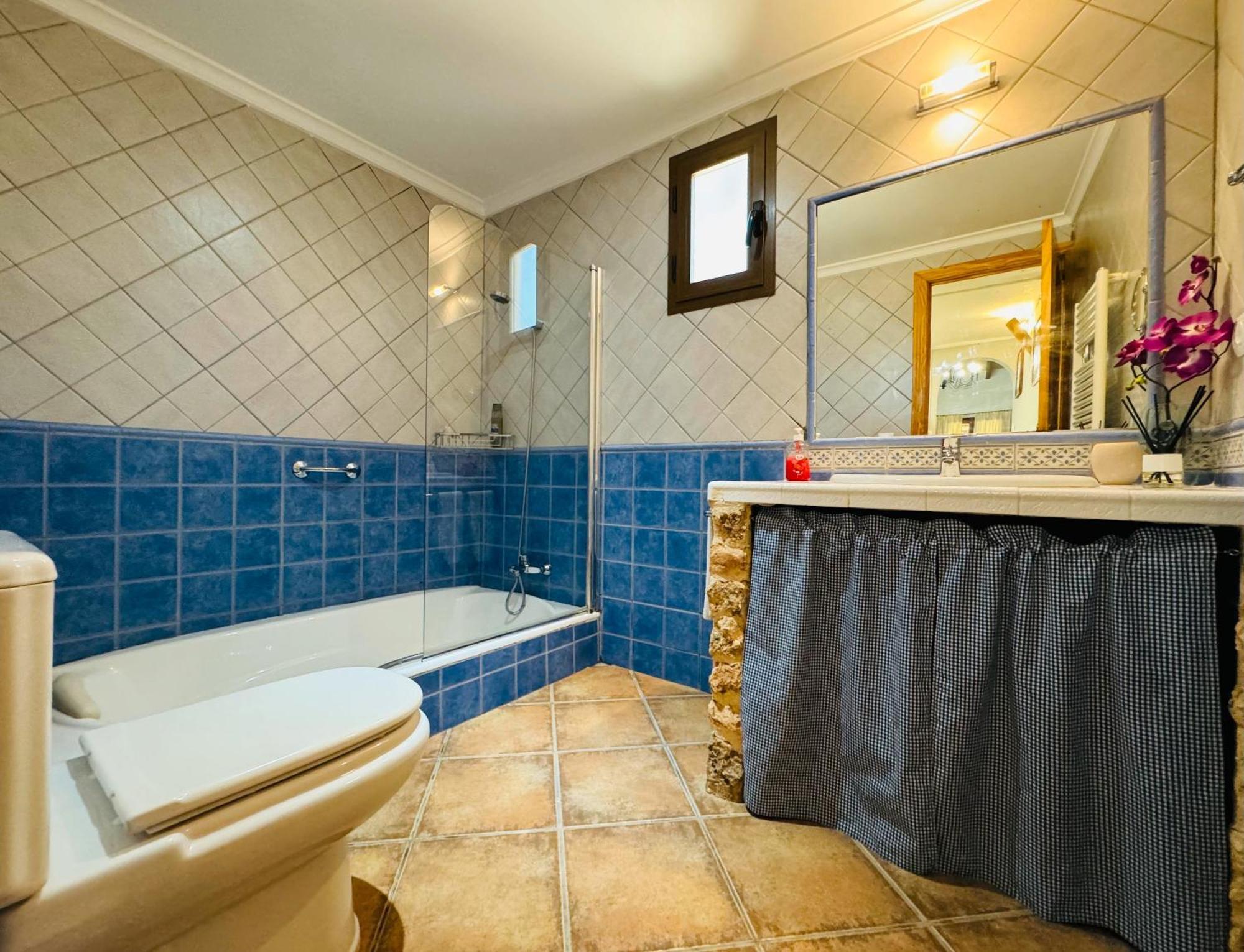 Conill Villa Llucmajor (Mallorca)