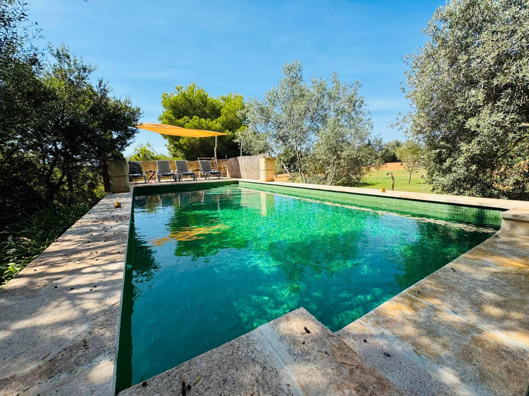 Conill Llucmajor (Mallorca)