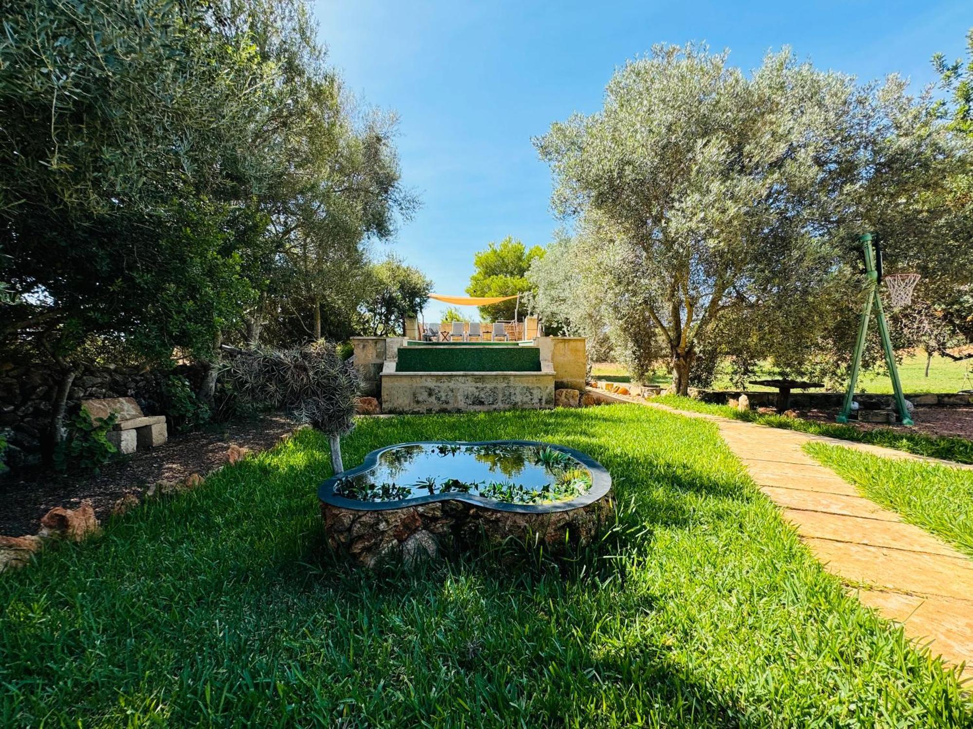 Conill Villa Llucmajor (Mallorca)